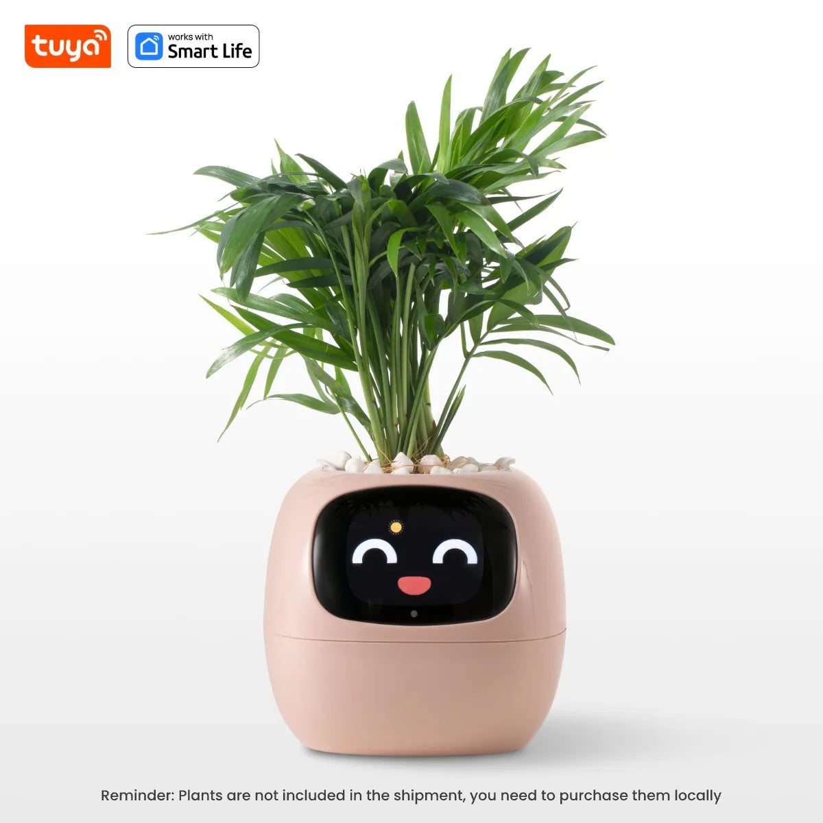 Ivy Smart Planter