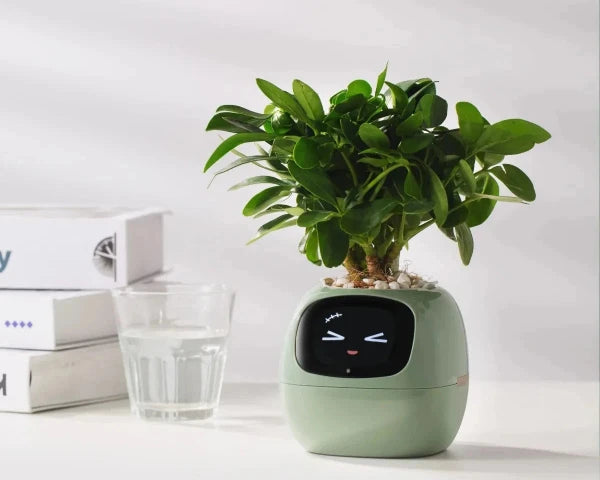 Ivy Smart Planter