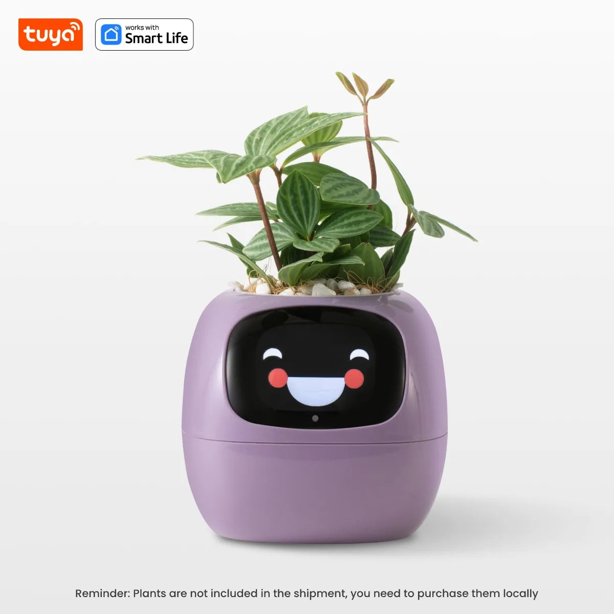 Ivy Smart Planter