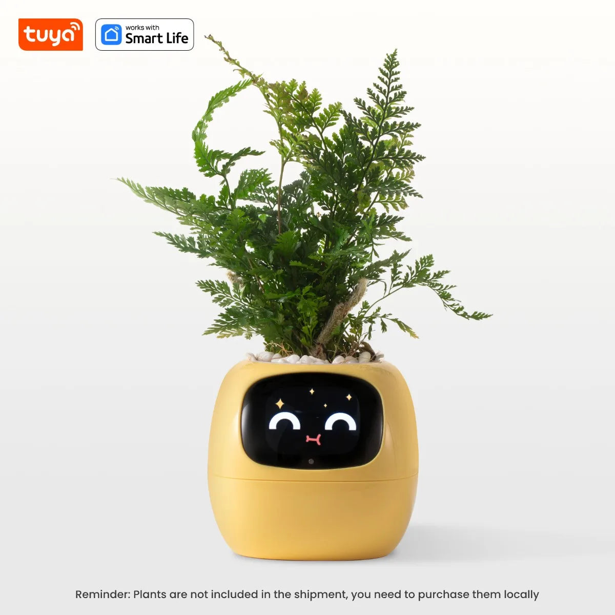 Ivy Smart Planter